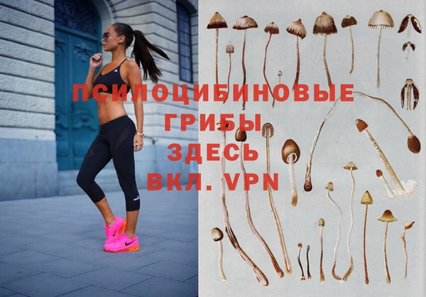 кокс Заводоуковск